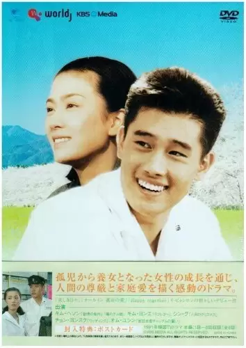 Asphalt My Hometown (1991)