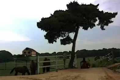 The Sound of Sunset