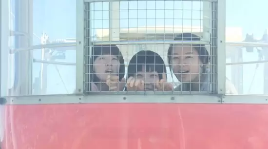 Picnic Together