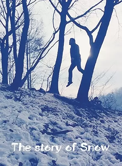 The Story of Snow