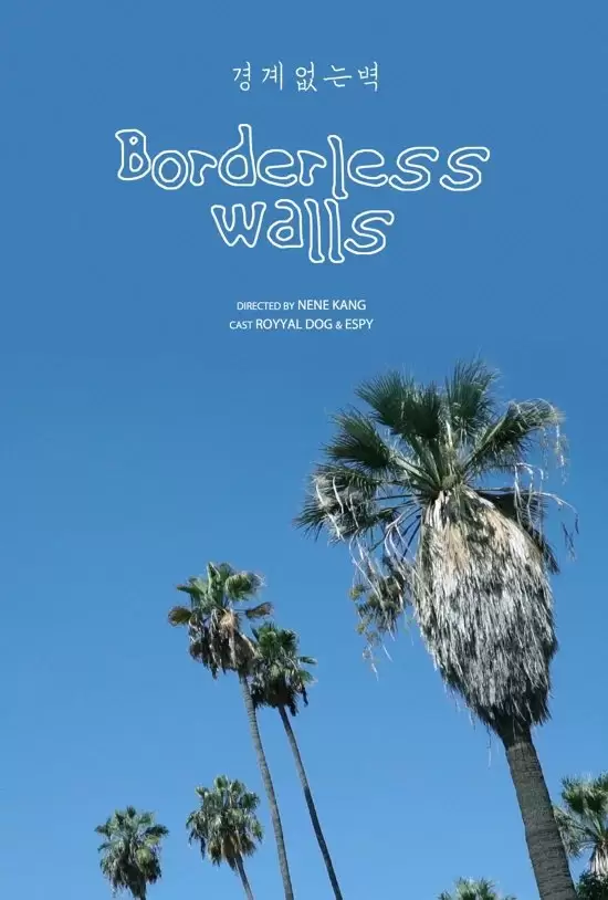 Borderless Walls