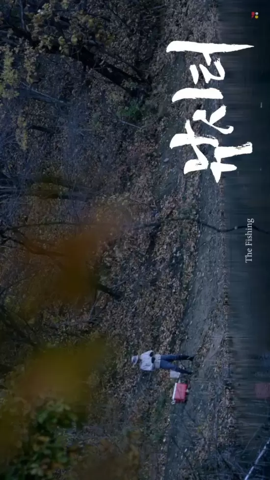 The Fishing