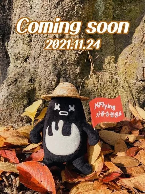 N.Flying Seunghyub's Fall Camp - Picnic