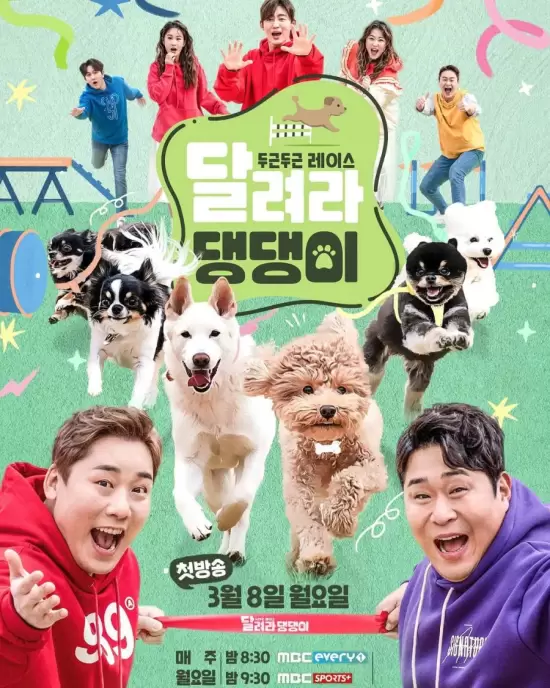 Run Puppy Run