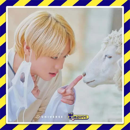 Park Ji Hoon's Do Not Disturb