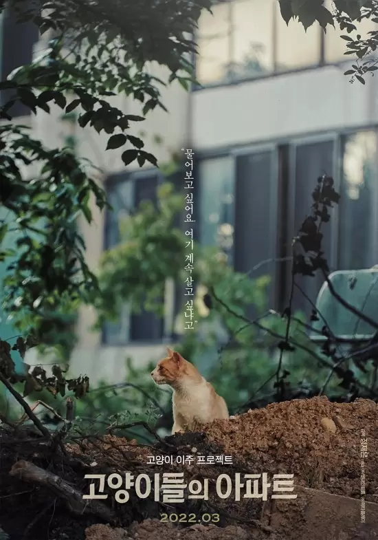 Cat's Apartment