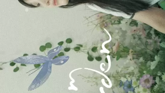 Dream Garden