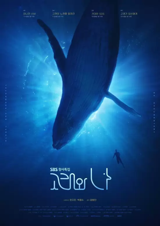 Whales and I