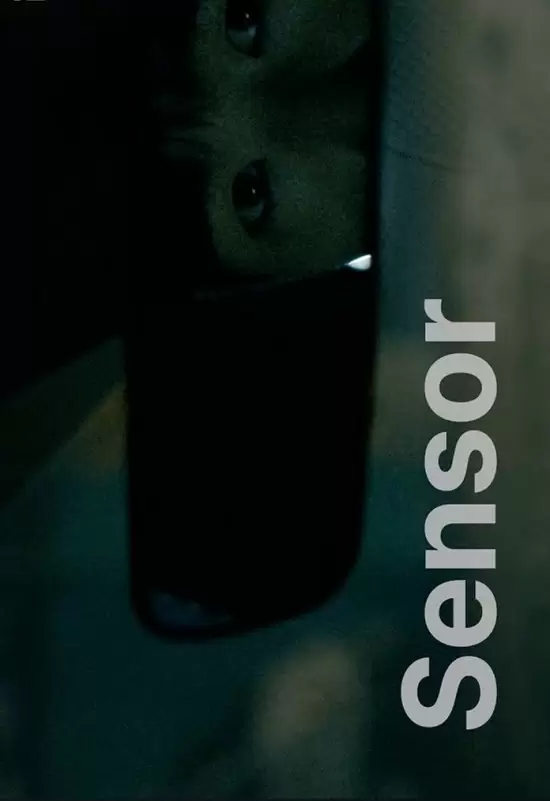 Sensor
