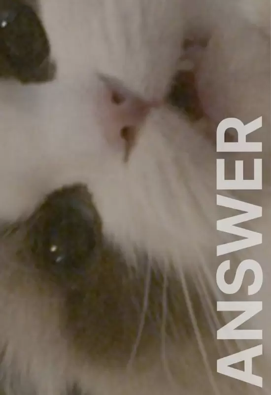 Answer
