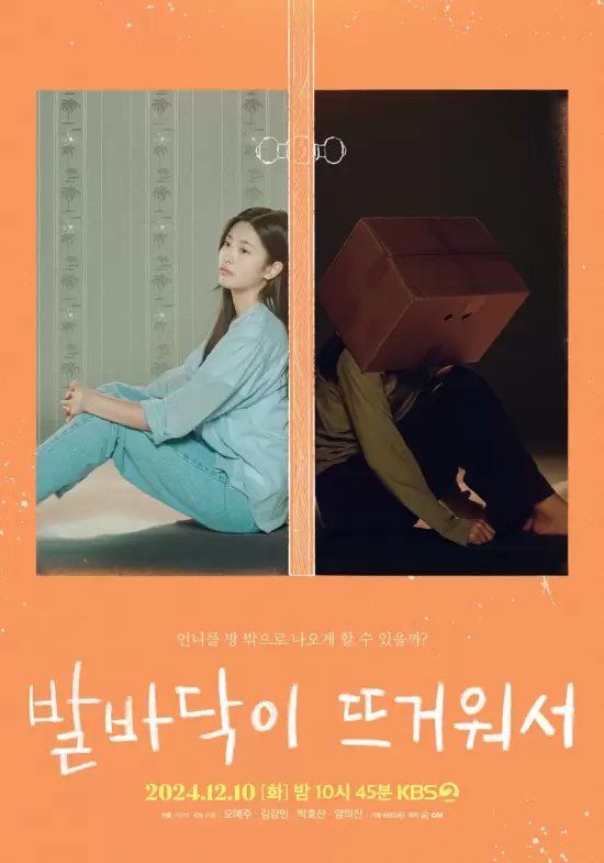 Drama Special Season 15: To My Lonely Sister