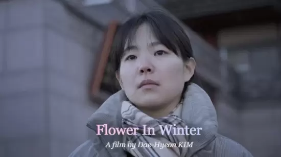 Flower in Winter