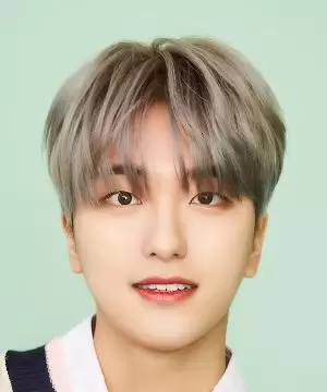 Jang Se Bin