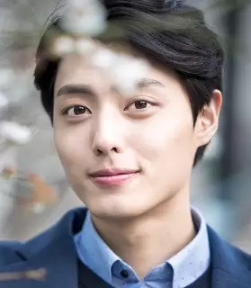 Lee Pung Woon