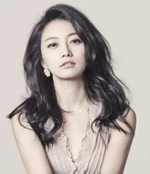 Lim Hye Young